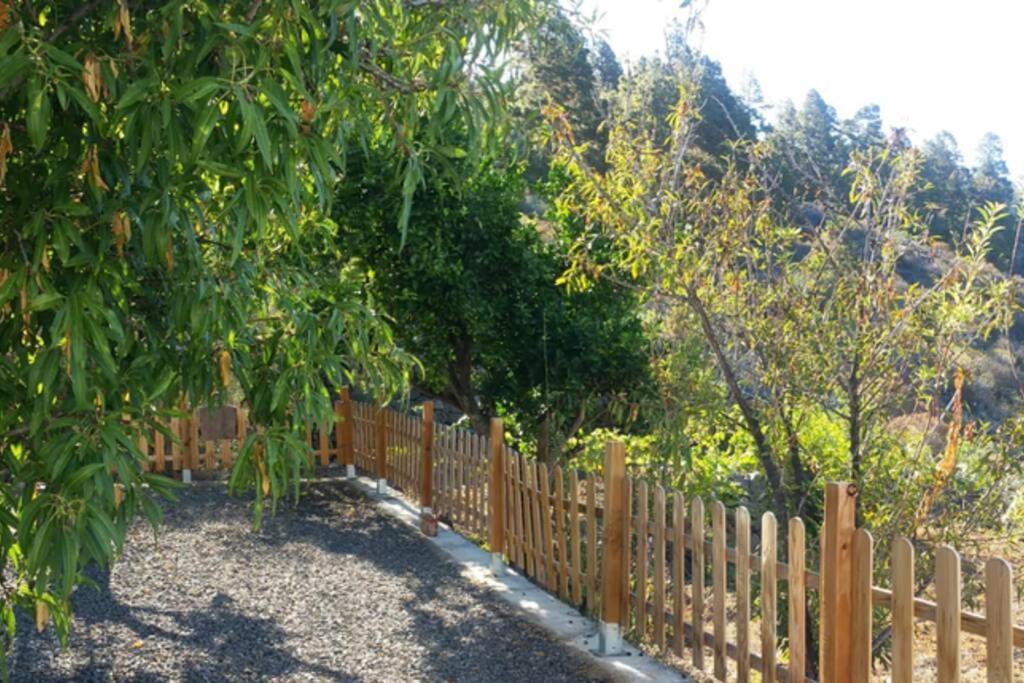 "Villa Servanda " - Relax, Nature, Wide Views Of The Sea And A Starry Sky Puntagorda Exterior foto